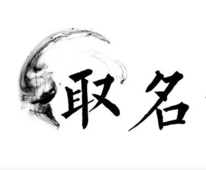  渝水宝宝取名 大师一对一人工起名